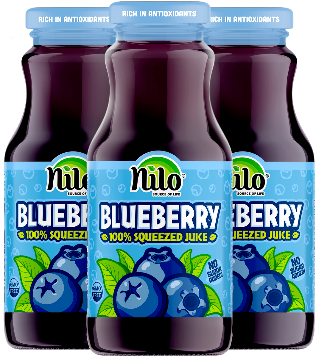 Nilo® Blueberry Juice I 100% Squeezed Juice – NILO