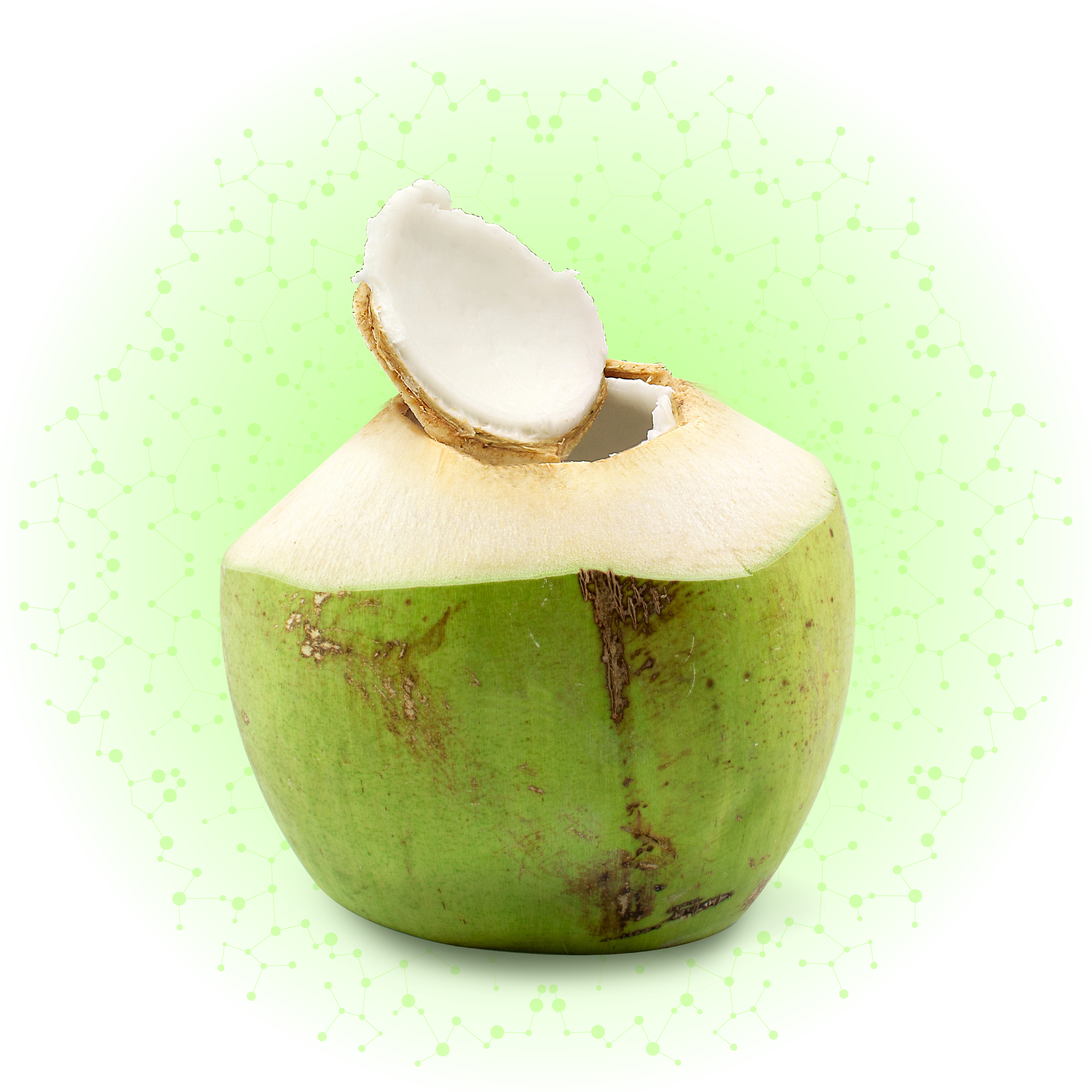 MOJOCO Refreshing Coconut Water - Vital Minerals, No Artificial