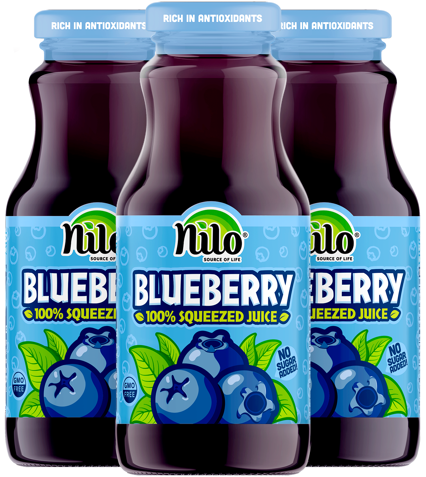 Nilo® Blueberry Juice I 100% Squeezed Juice – NILO